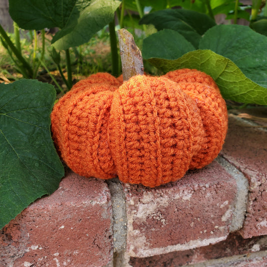 Rustic Pumpkin